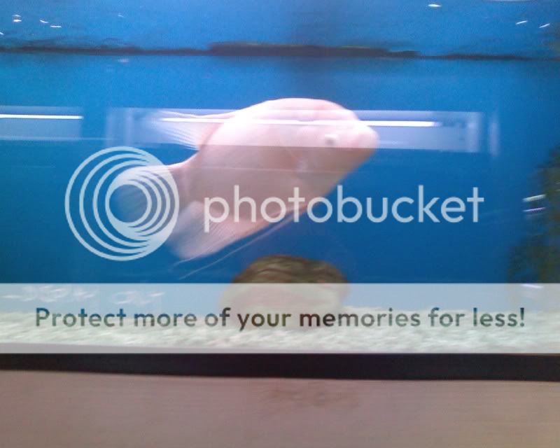 IMG00578.jpg
