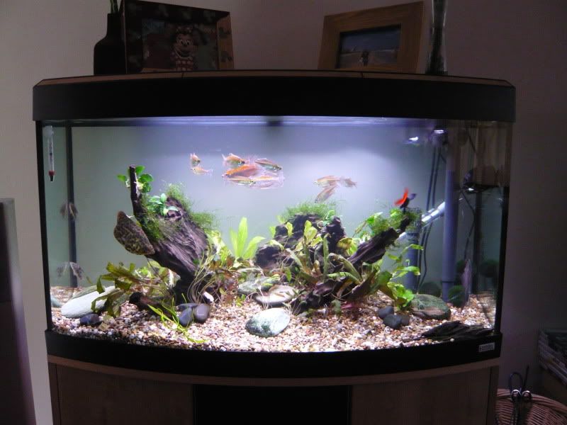 P1020637.jpg