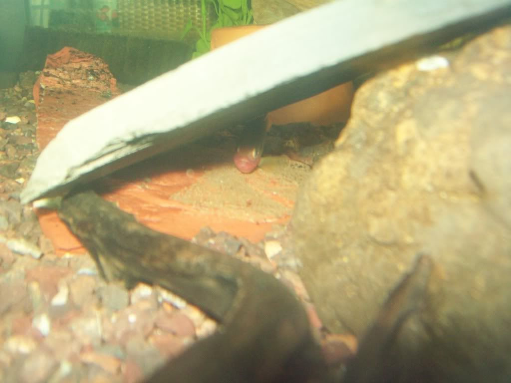 102_0136.jpg