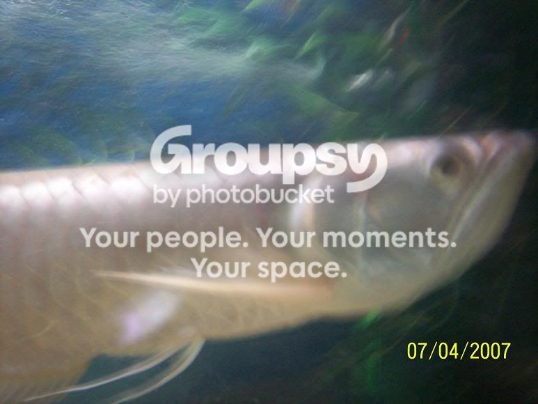 o8.jpg