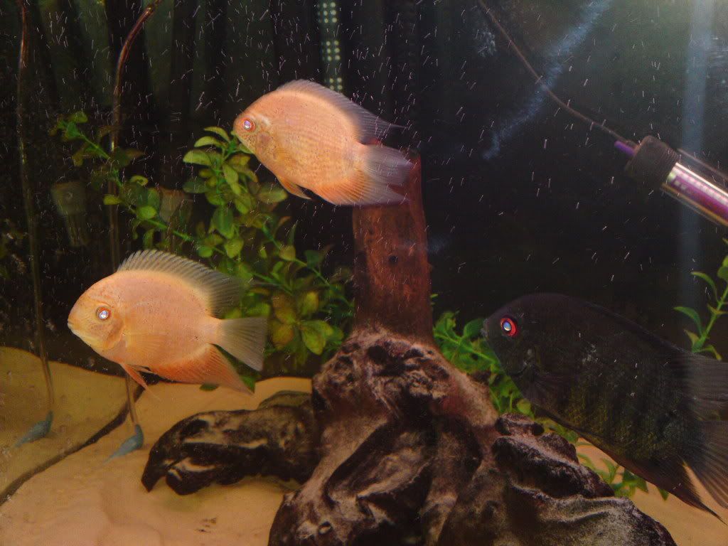 01022011083.jpg