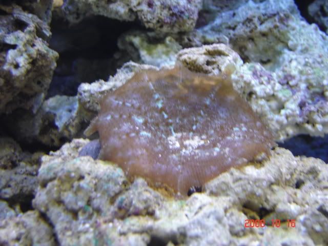 DSC07616.jpg