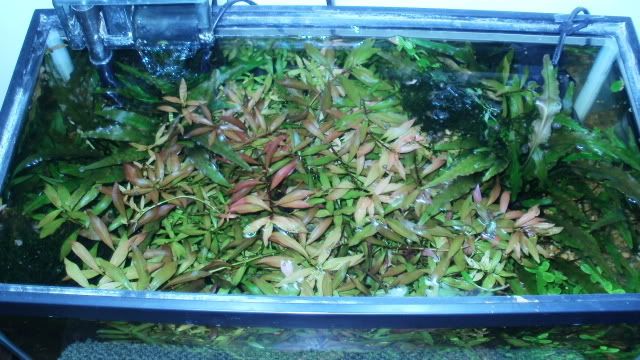Picture012.jpg