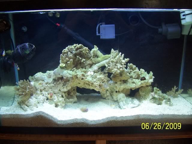 100_6962.jpg