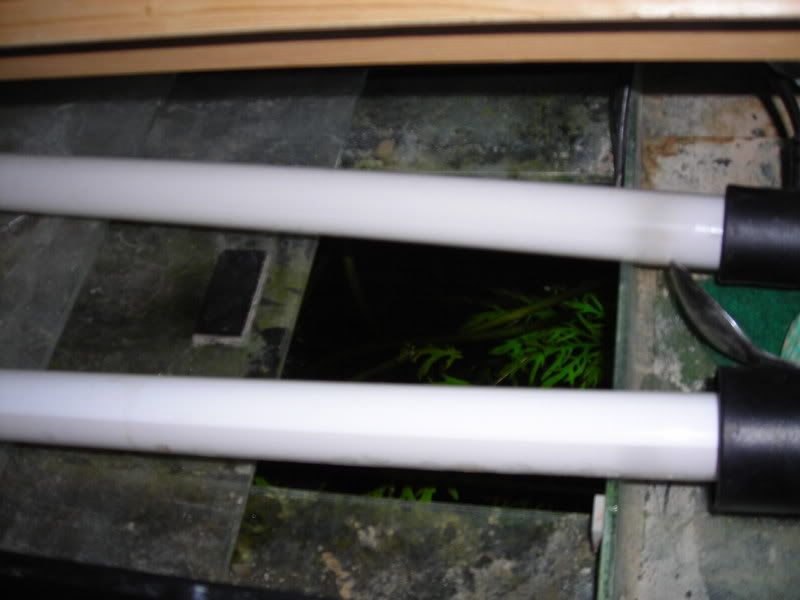 DSCN0935.jpg