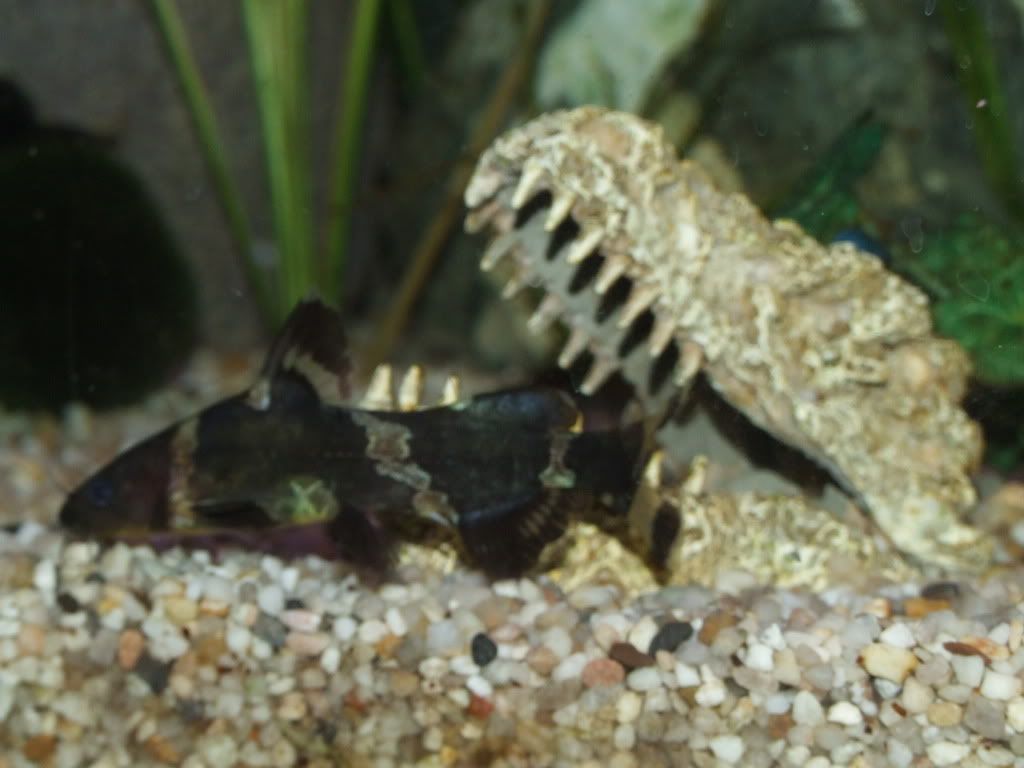 DSCF2691.jpg