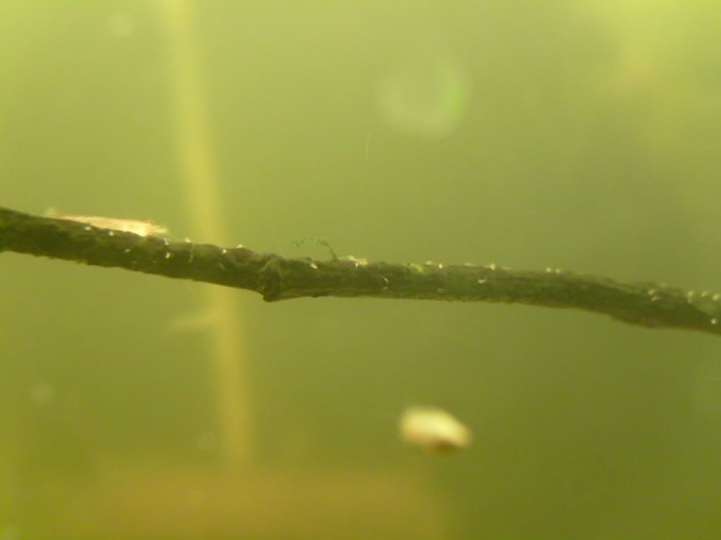 S7003675.jpg