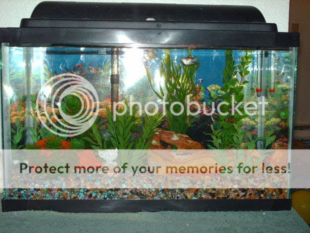 PICT0408.jpg