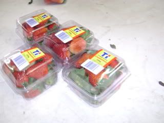 DSC00456.jpg