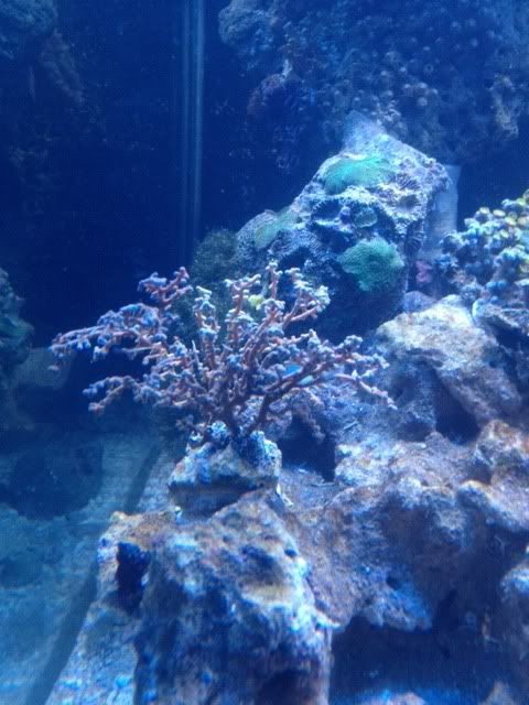 photo5-12.jpg