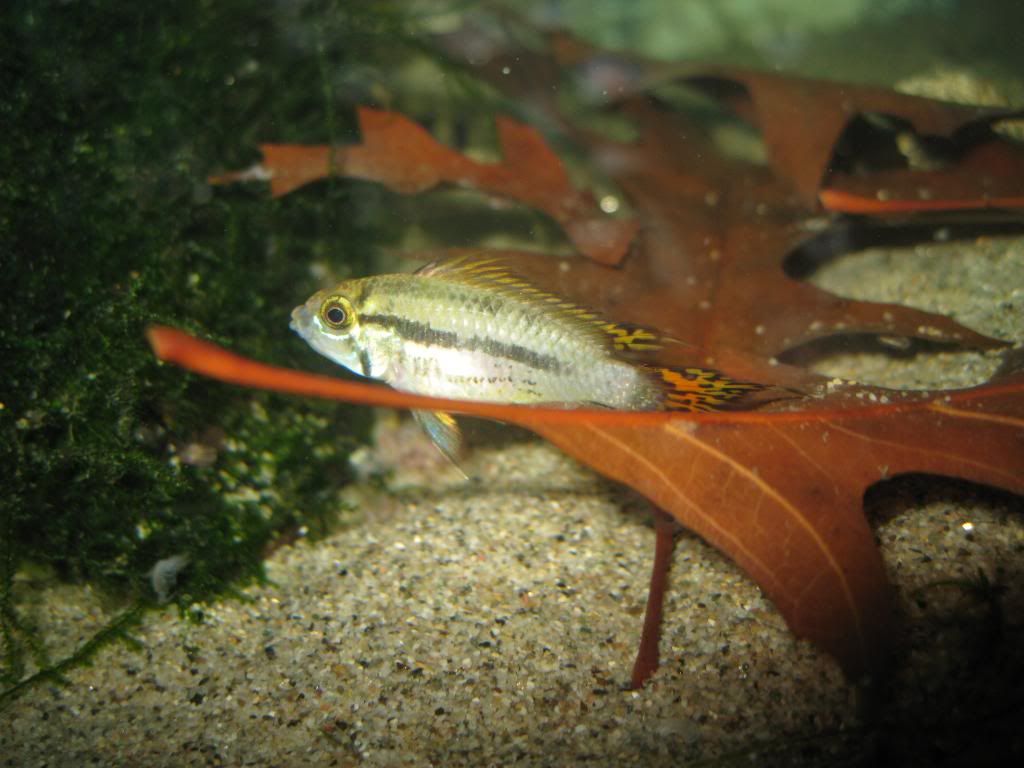 IMG_5475.jpg