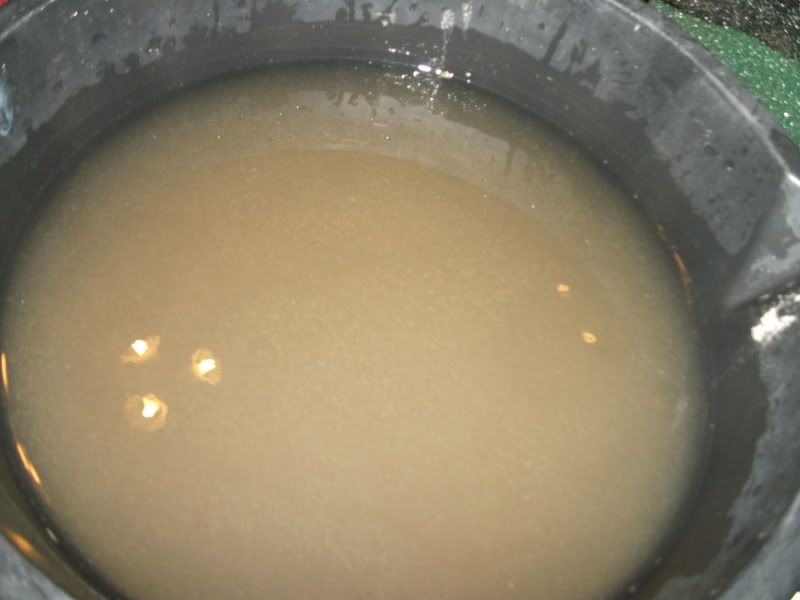DSCF2409.jpg