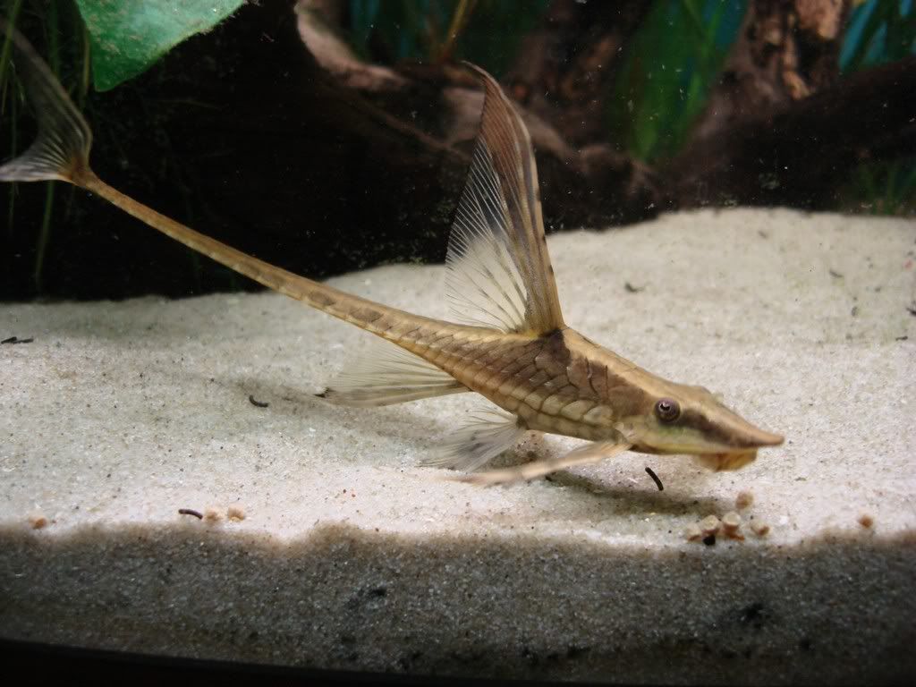 DSC02083.jpg