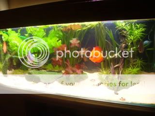 jan07017-2.jpg