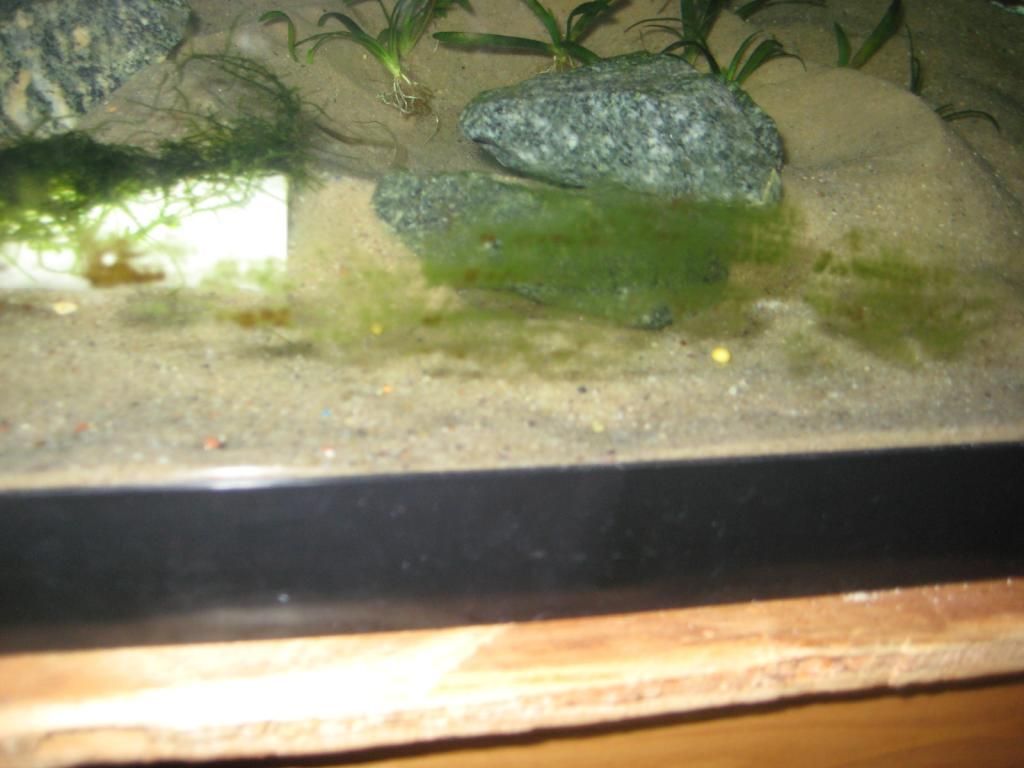 IMG_2998_zps7ebb2dc4.jpg