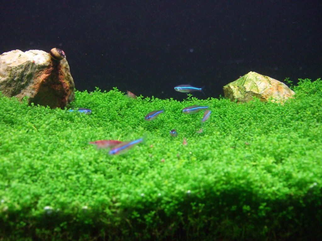 DSCF2467.jpg