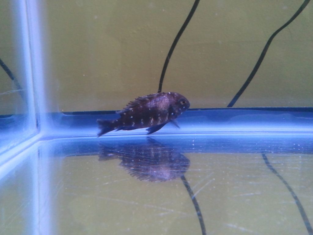 2012-08-07114839.jpg