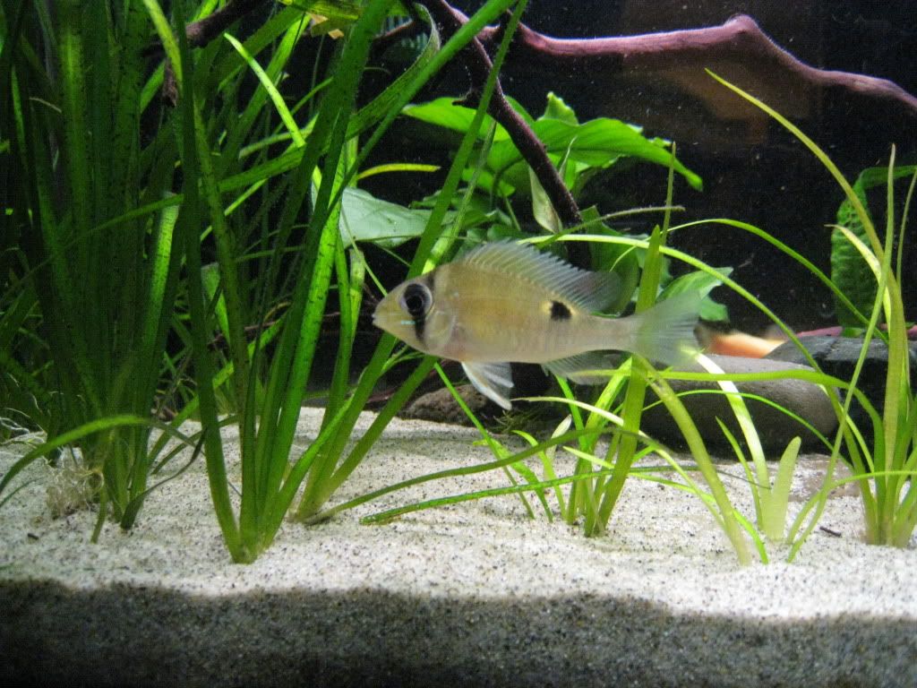 IMG_1250.jpg