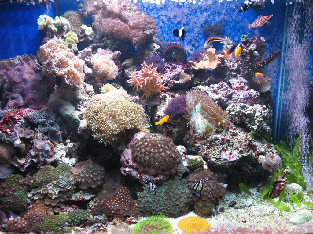 IMG_2075.jpg