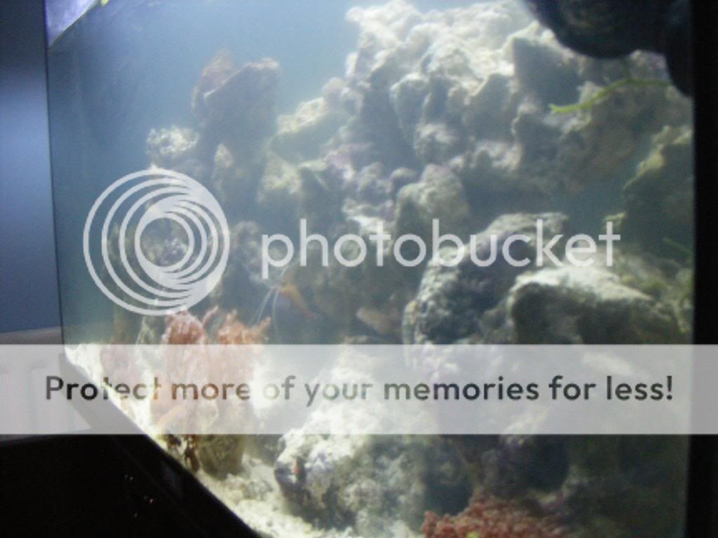 2010_05080005.jpg