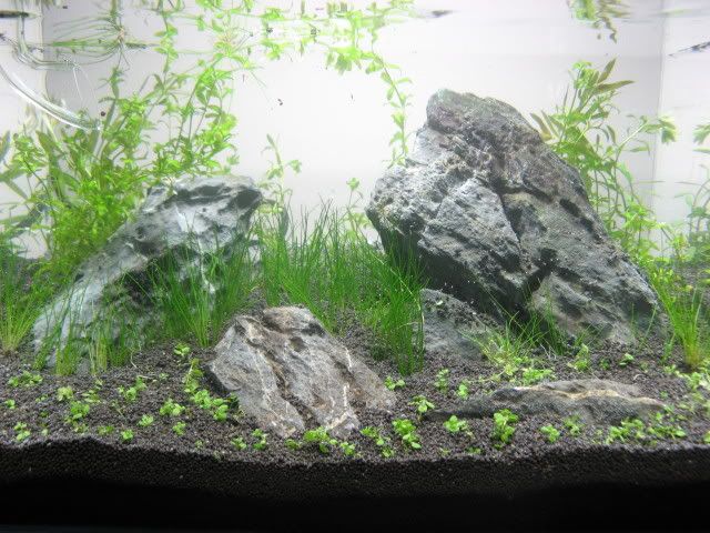20090329015.jpg