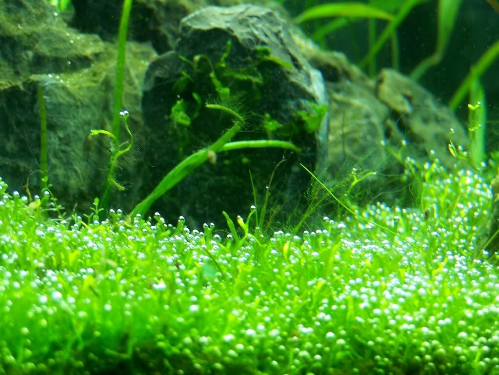 100_11981.jpg