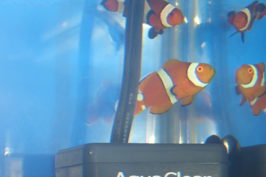 CIMG9011.jpg