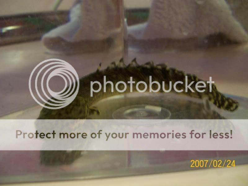 Picture673.jpg