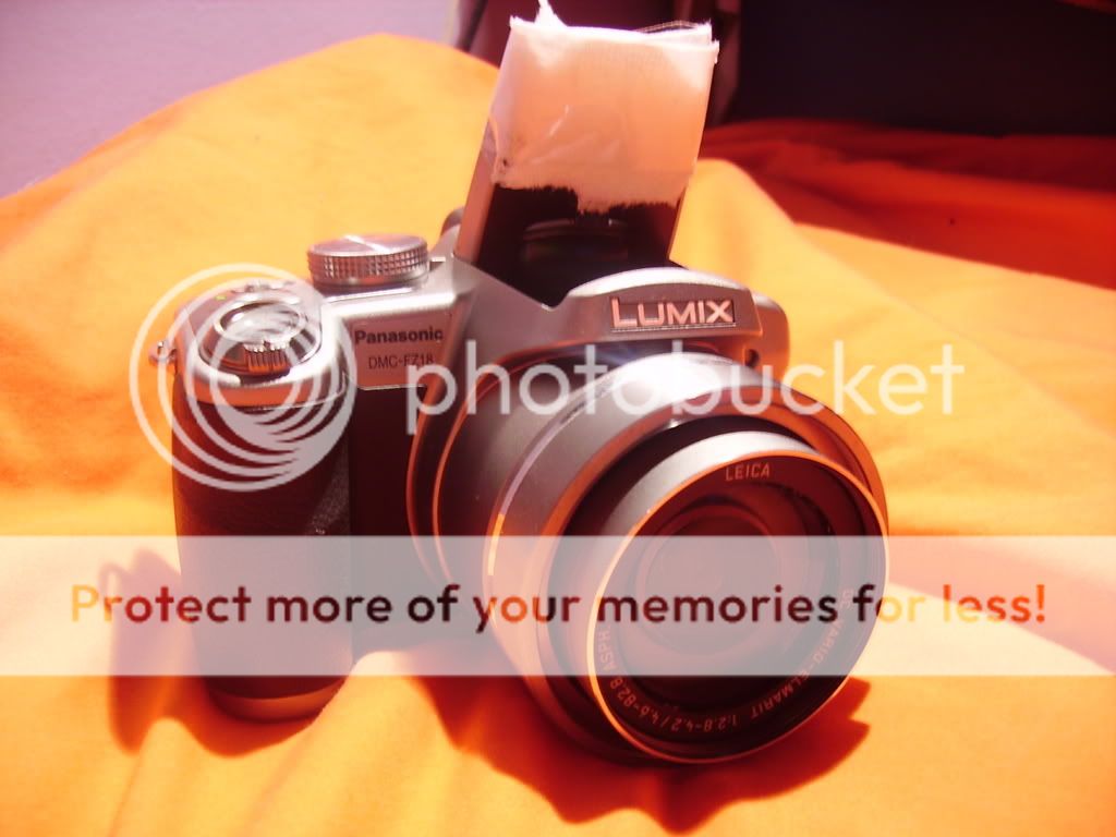 PICT0147.jpg