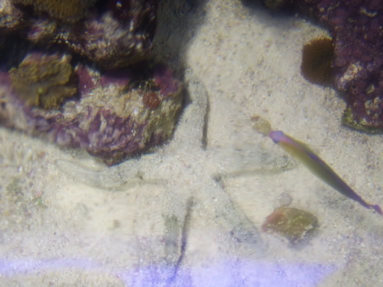 STA70611.jpg