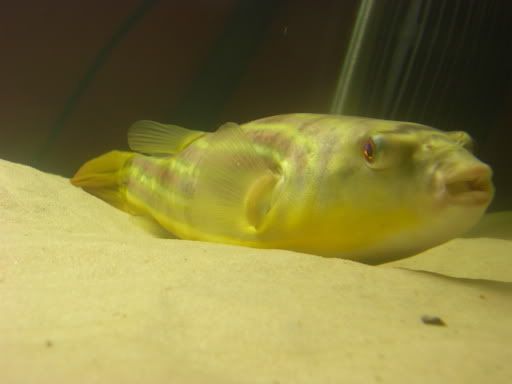 DSCN1814.jpg