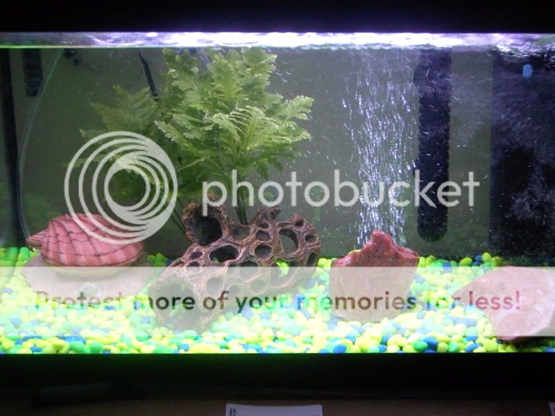 ImportedPhotos00000.jpg