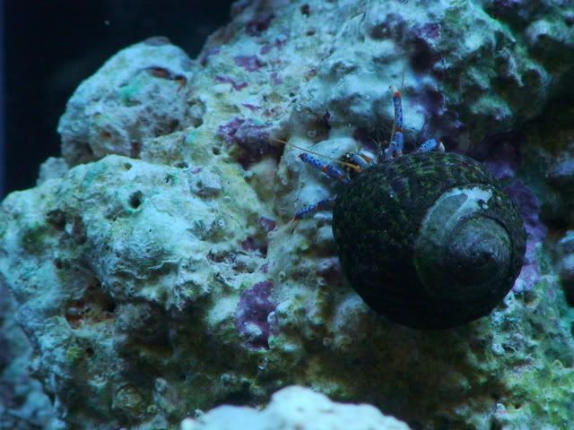 DSC00990.jpg