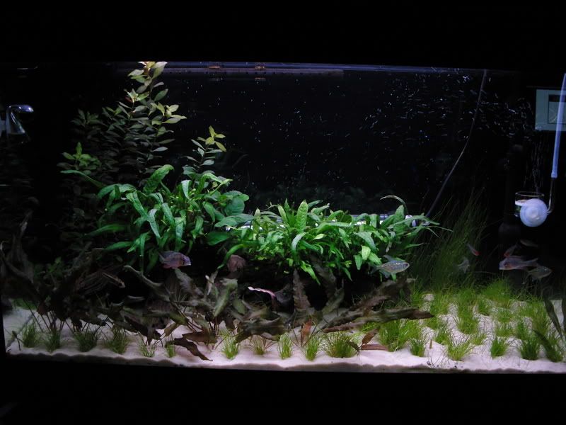 SNV11488.jpg