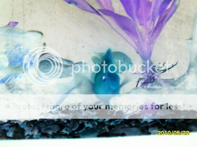 SDC14649.jpg
