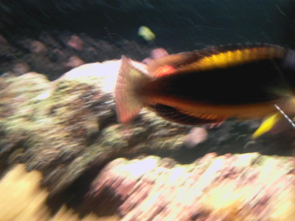 Photo-0004.jpg