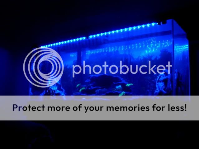 night_lighting001.jpg