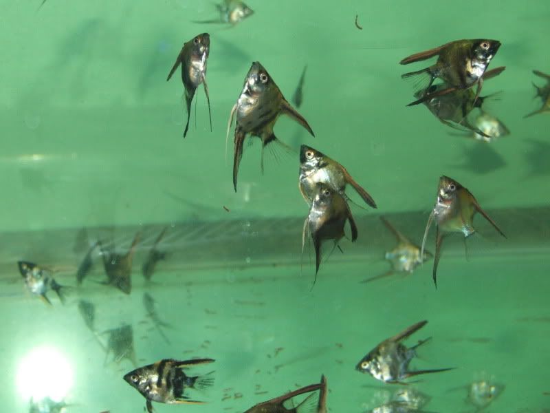 DSCF8025.jpg