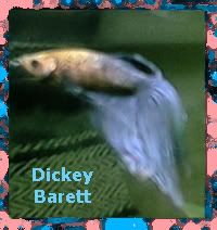 dickey2.jpg
