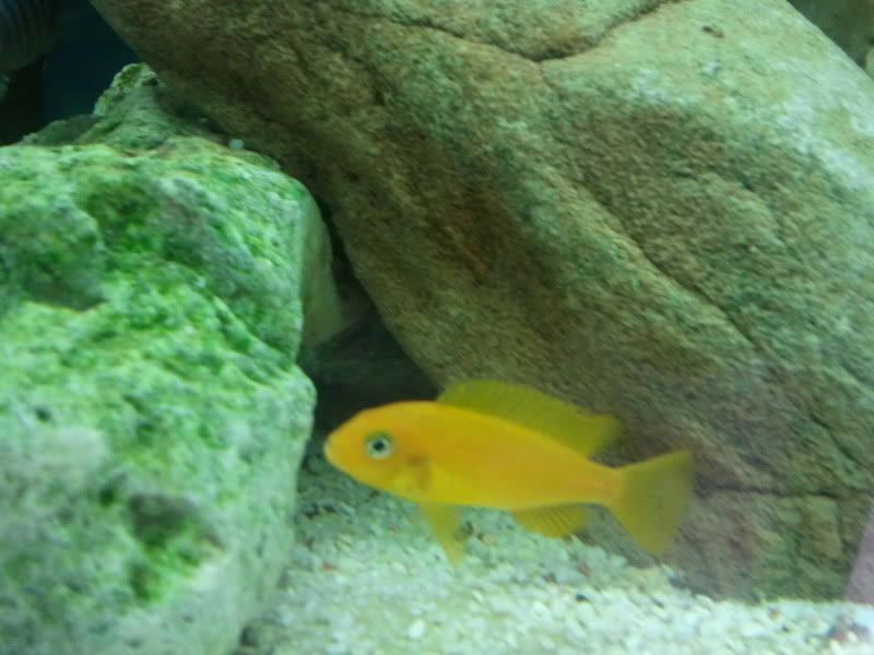 2011-06-21185824.jpg