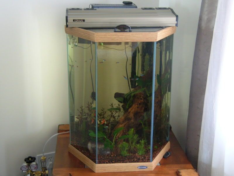 DSCN1251.jpg