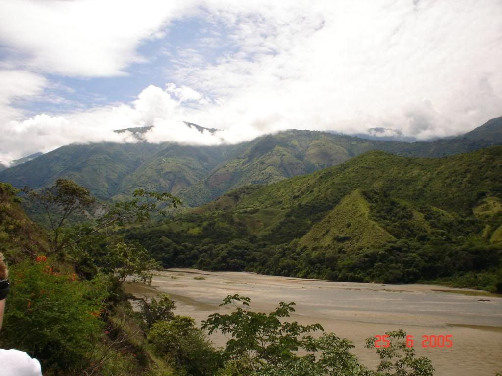 DSC00468.jpg