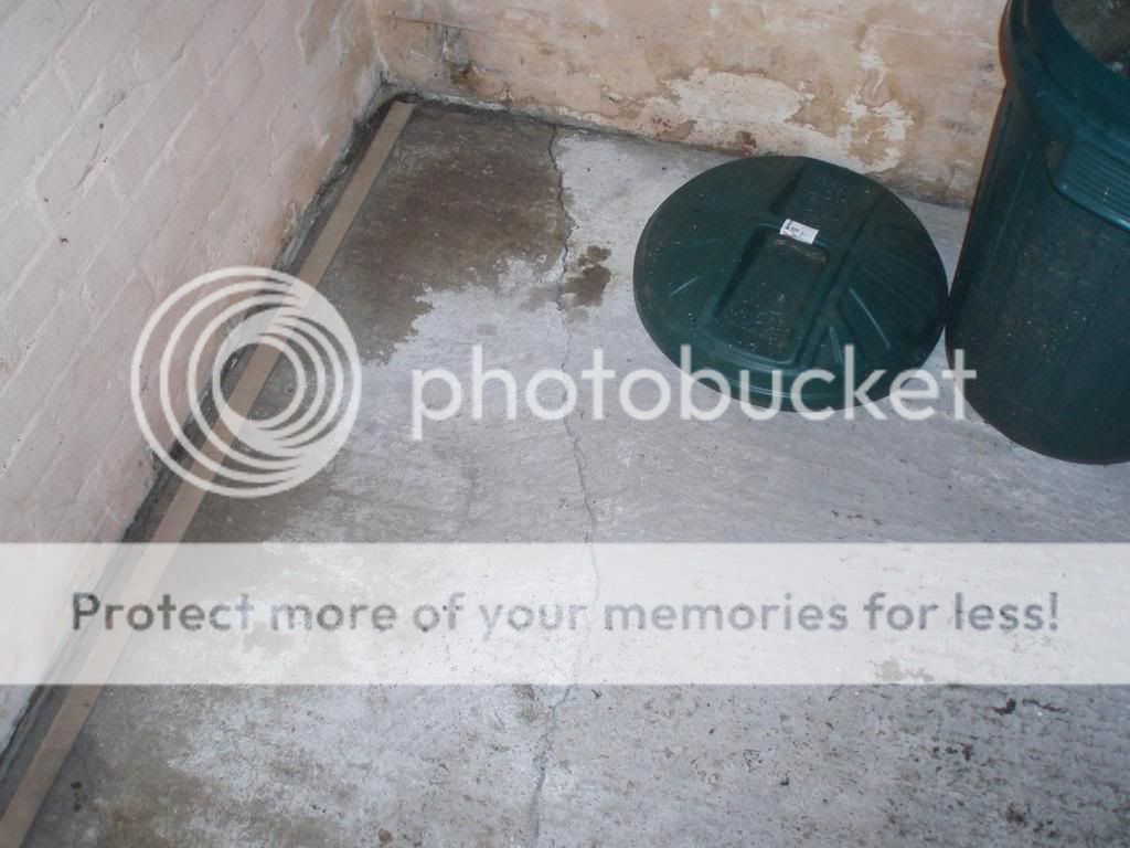 Picture1016.jpg