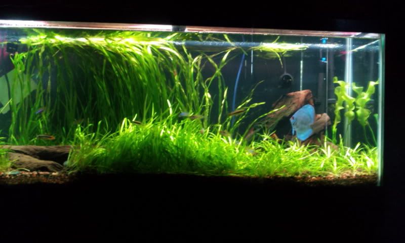 2012-04-06183446.jpg