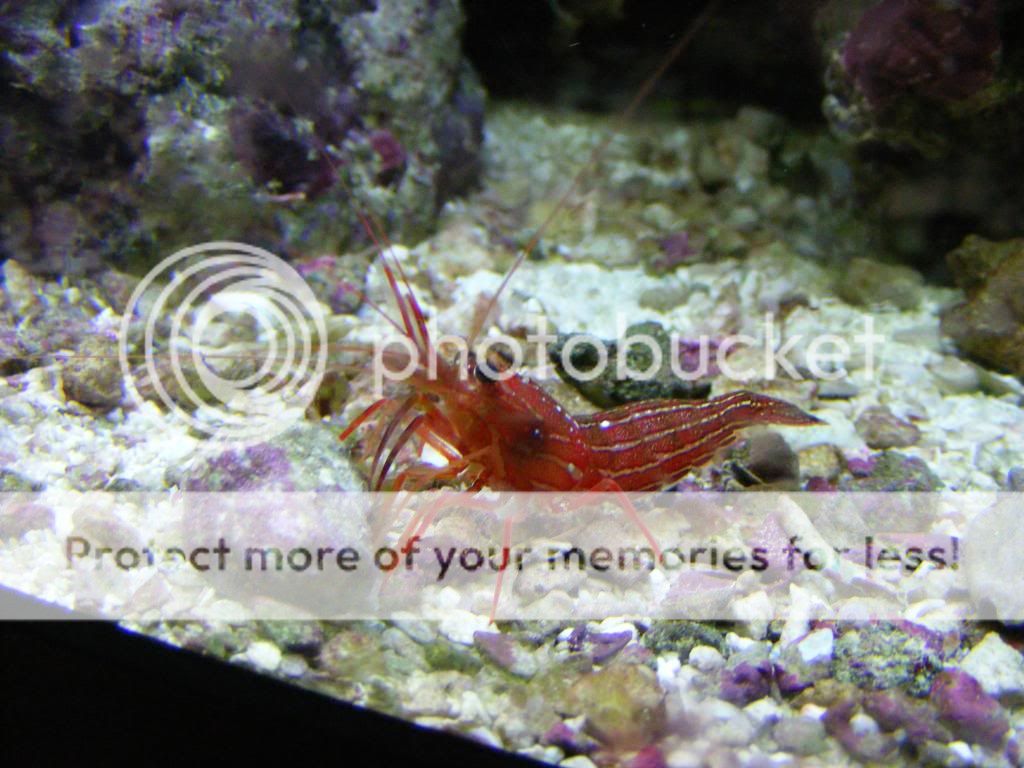 DSCF2851.jpg