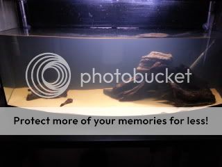 20121002_221247.jpg