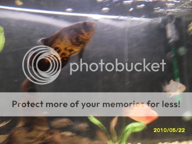 SDC14669.jpg