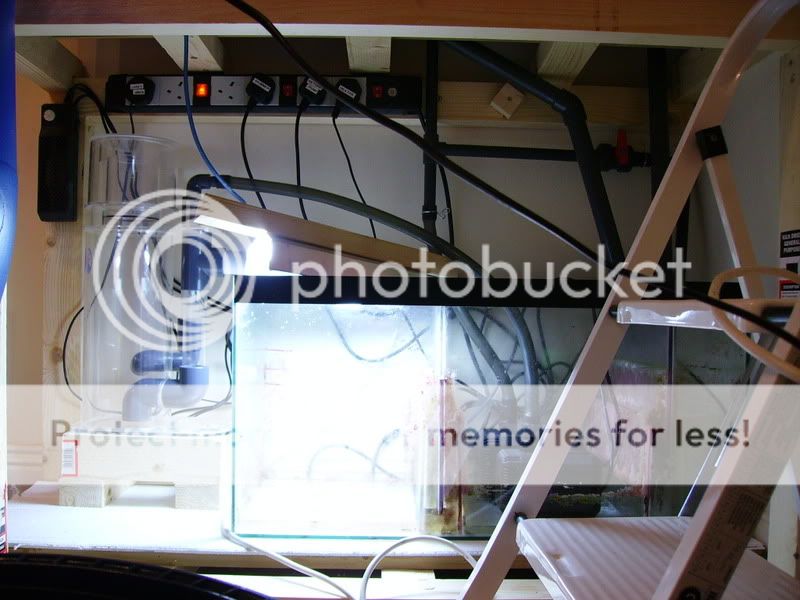 4footbuild062.jpg