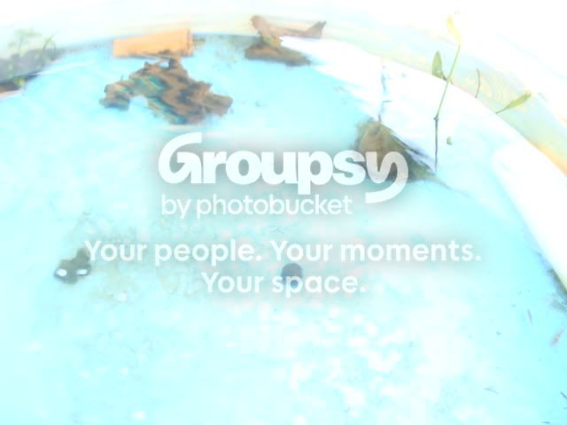 4Dec021.jpg