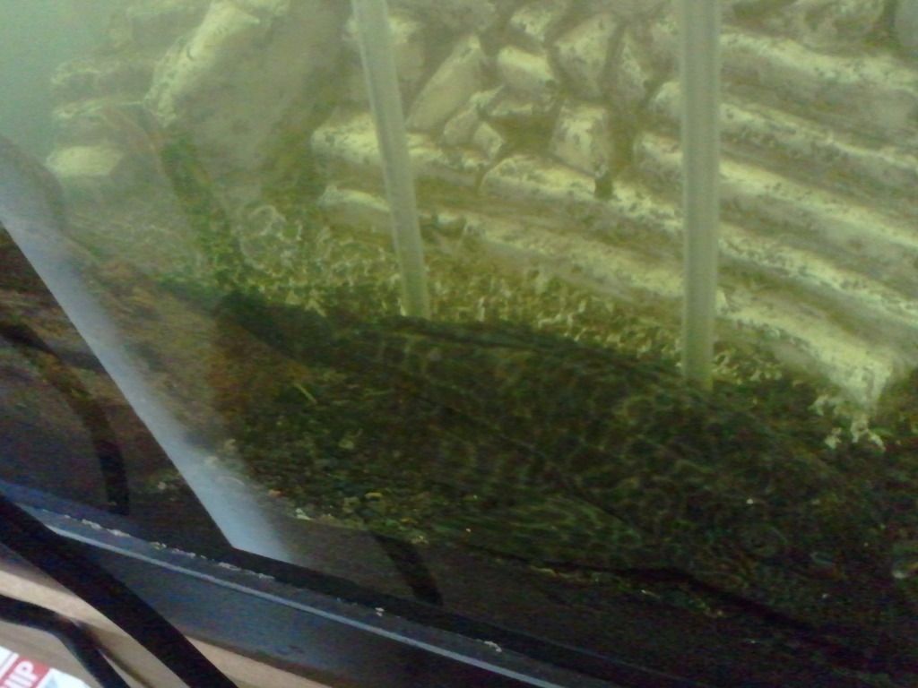 2012-08-07111245.jpg